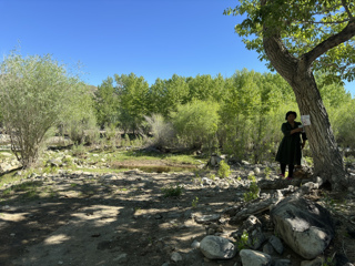image-28-05-24-09-28-1
