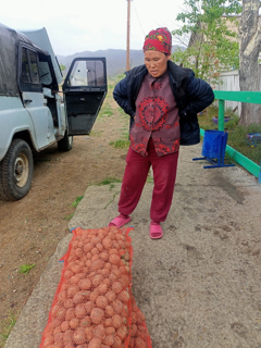 IMG20240527112628