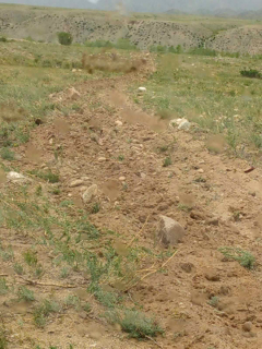 IMG-850ad5e155a90e221492e3574b01f9be-V